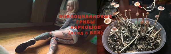 твердый Абинск