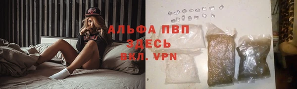 спиды Абаза