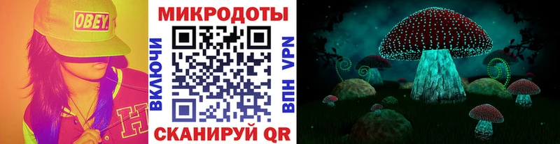 Галлюциногенные грибы ЛСД  цена наркотик  kraken ссылки  Алатырь 